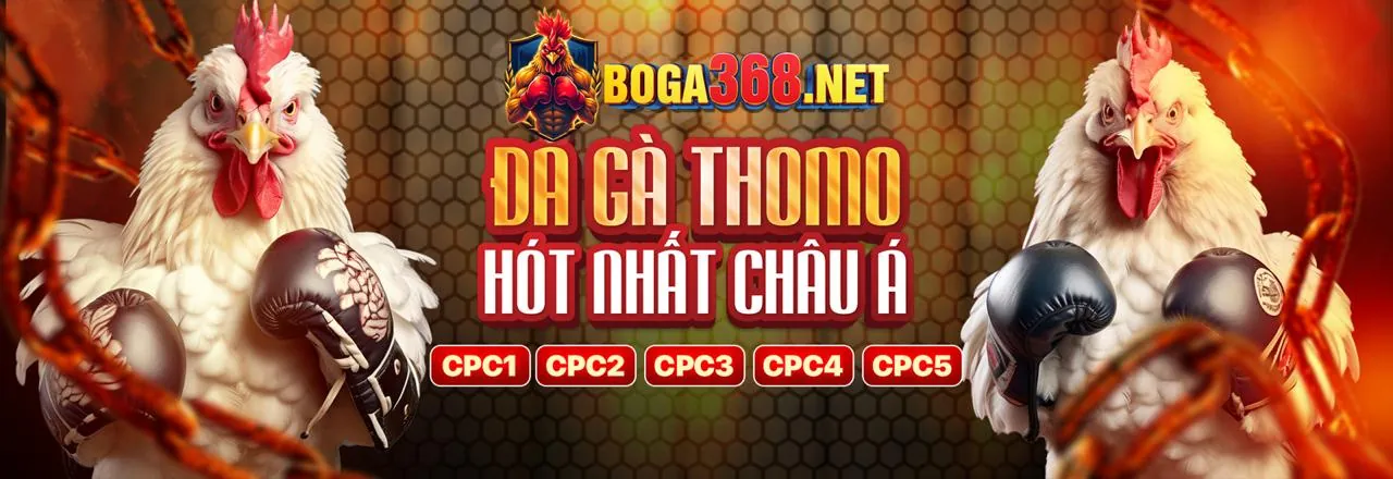 Sảnh đá gà trực tuyến NN888 với gà chọi Việt Nam